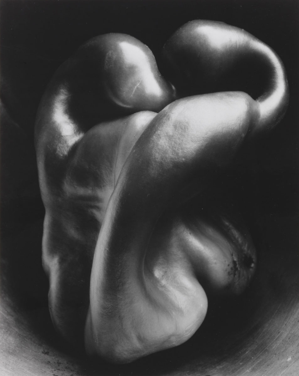 Edward Weston, Pepper No. 30, 1937. The Kodak Collection at the National Media Museum, Bradford. Picture credit: National Science & Media Museum/Science & Society Picture Library / © Center for Creative Photography, Arizona Board of Regents