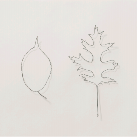 Eric Rhein, Jeff and Tim (Jeffrey Geiger and Tim Goetz), 2005 (from Leaves, an AIDS memorial)