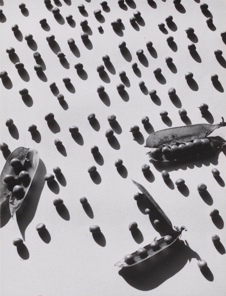 Gyula Holics, Peas, 1950s, gelatin silver print, Private collection, Derbyshire