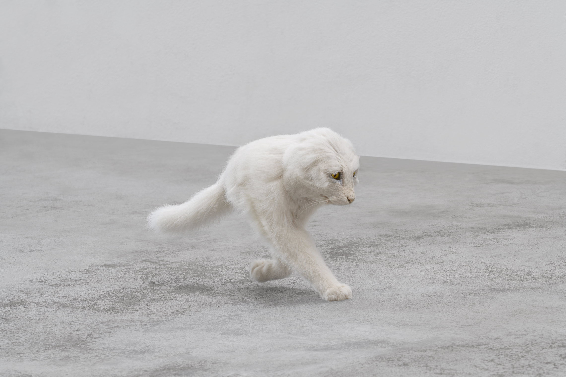 Eva and Franco Mattes, Half Cat, installation view, 2020. Photo: Delfino Sisto Legnani © Eva and Franco Mattes 