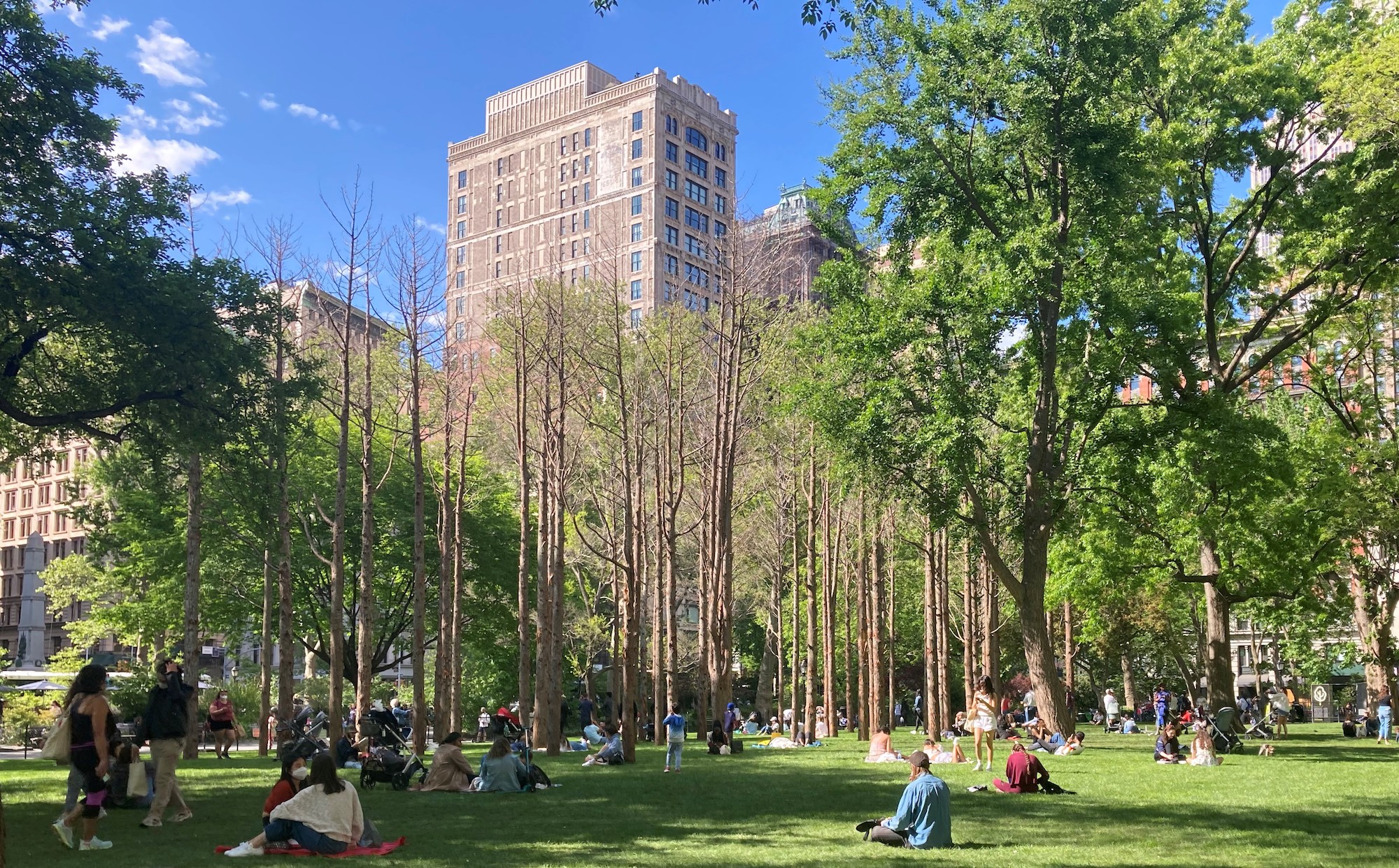 Maya Lin, Ghost Forest, 2021. Courtesy the artist and Madison Square Park Conservancy