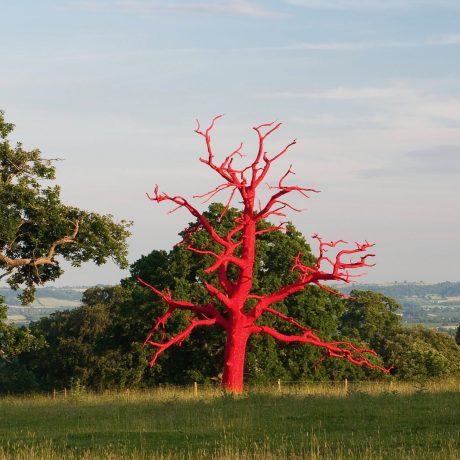 Artwork (Red Tree) at Croft Castle, Herefordshire, by Philippa Lawrence