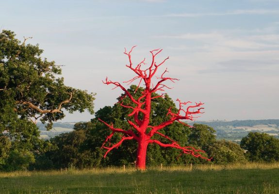 Artwork (Red Tree) at Croft Castle, Herefordshire, by Philippa Lawrence