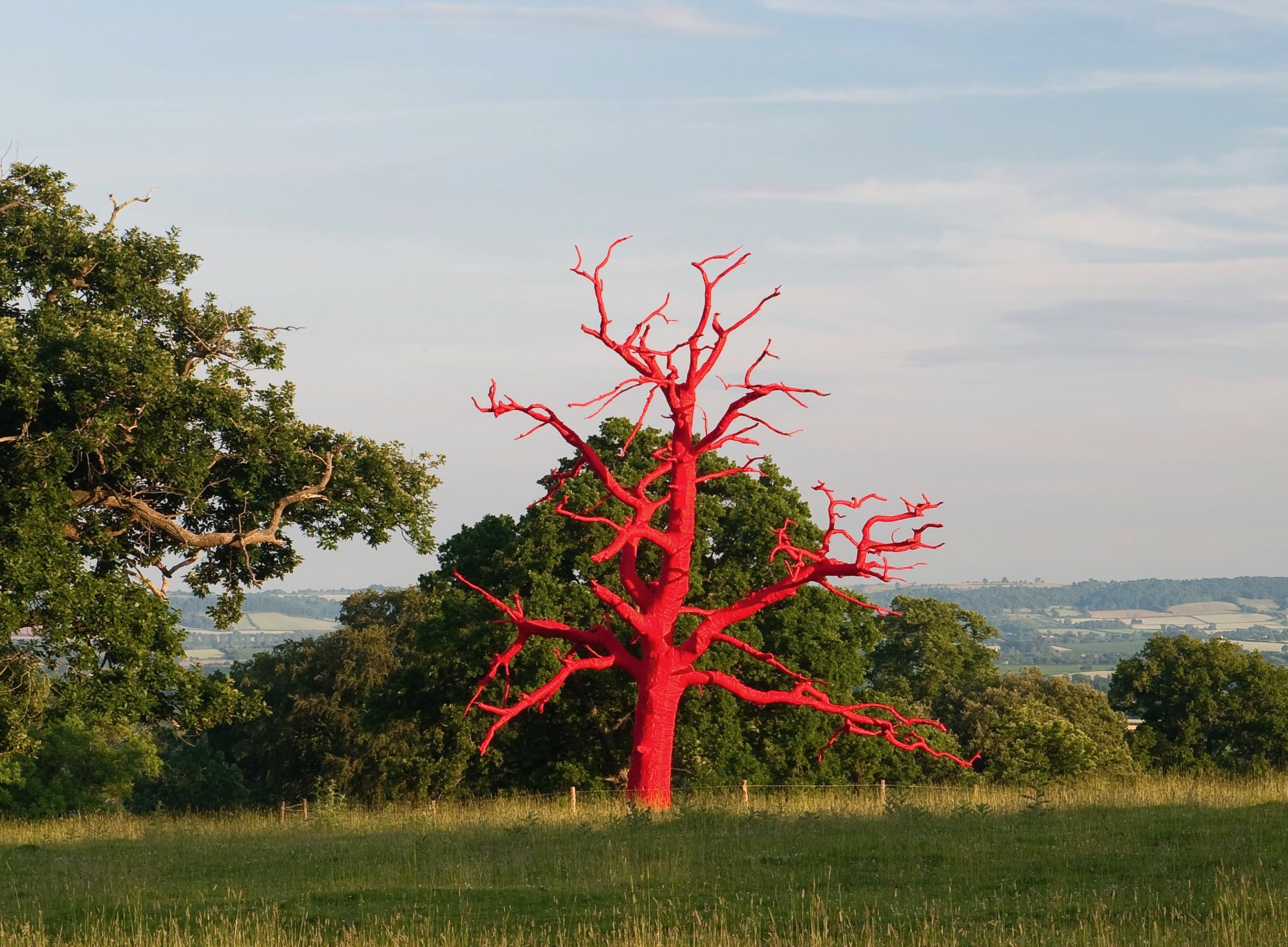 Artwork (Red Tree) at Croft Castle, Herefordshire, by Philippa Lawrence