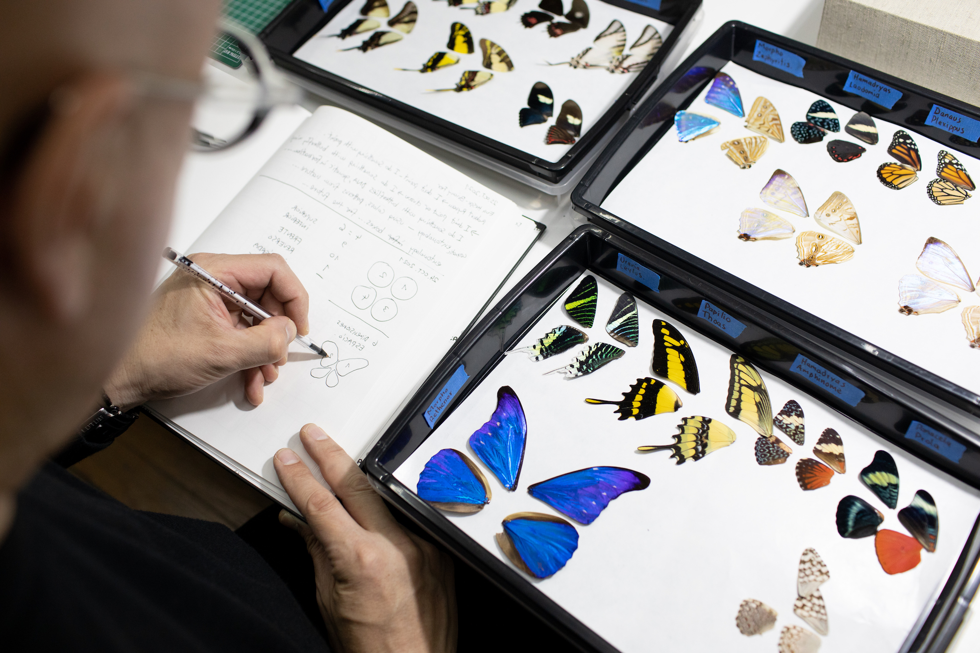 Gabriel de la Mora in his studio. Photographed by Andrew Reiner for Elephant