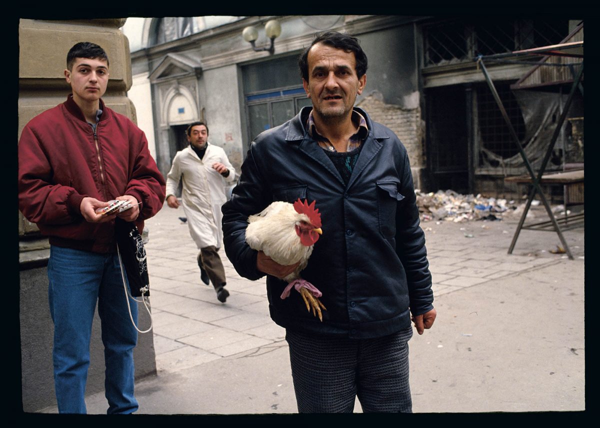 Rooster, near marketplace, Marshall Tito Street, Sarajevo, Bosnia and Herzegovina