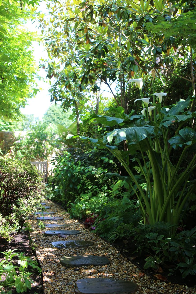 A stepping stone path amidst the garden