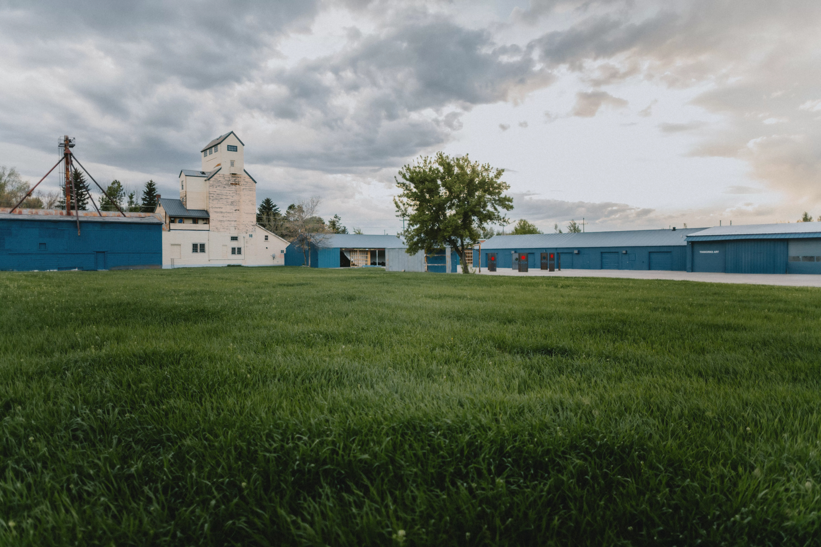 Agnes Denes, Wheatfield--An Inspiration. The seed is in the ground, 2023. May 2024. Photo by Blair Speed 3