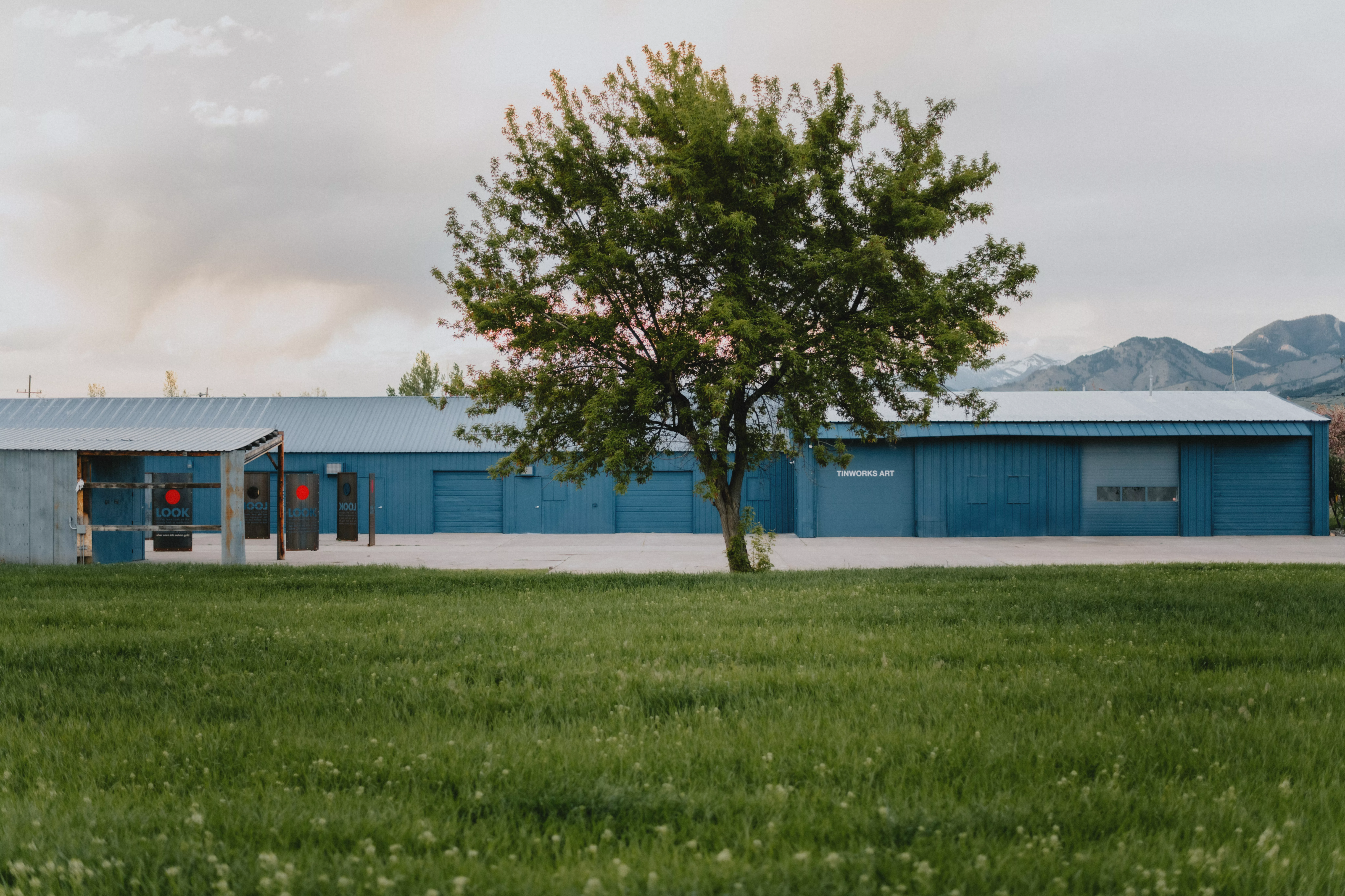 Agnes Denes, Wheatfield--An Inspiration. The seed is in the ground, 2023. May 2024. Photo by Blair Speed 8