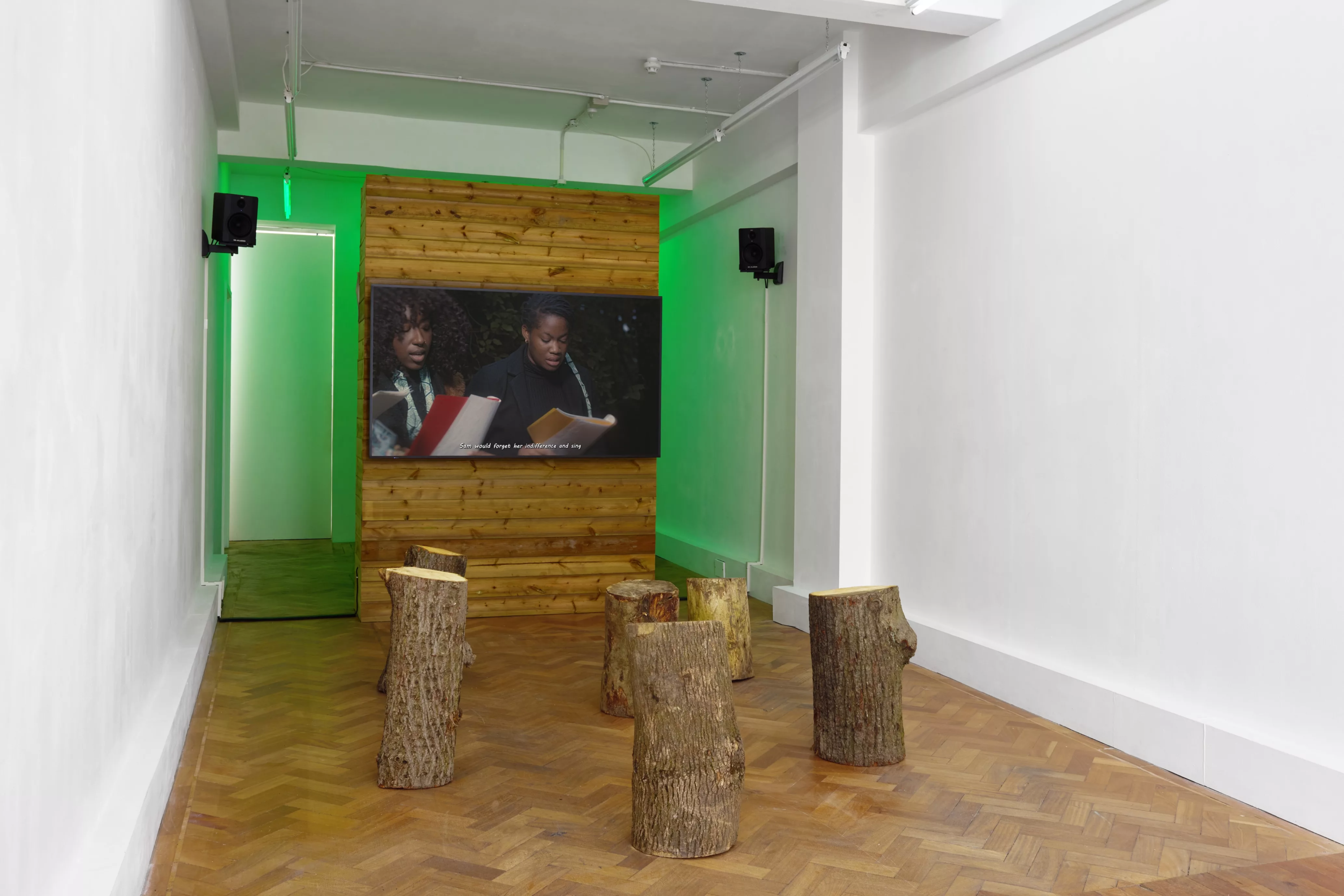 AM_Onyeka Igwe_MOGG_2024_Installation view_8