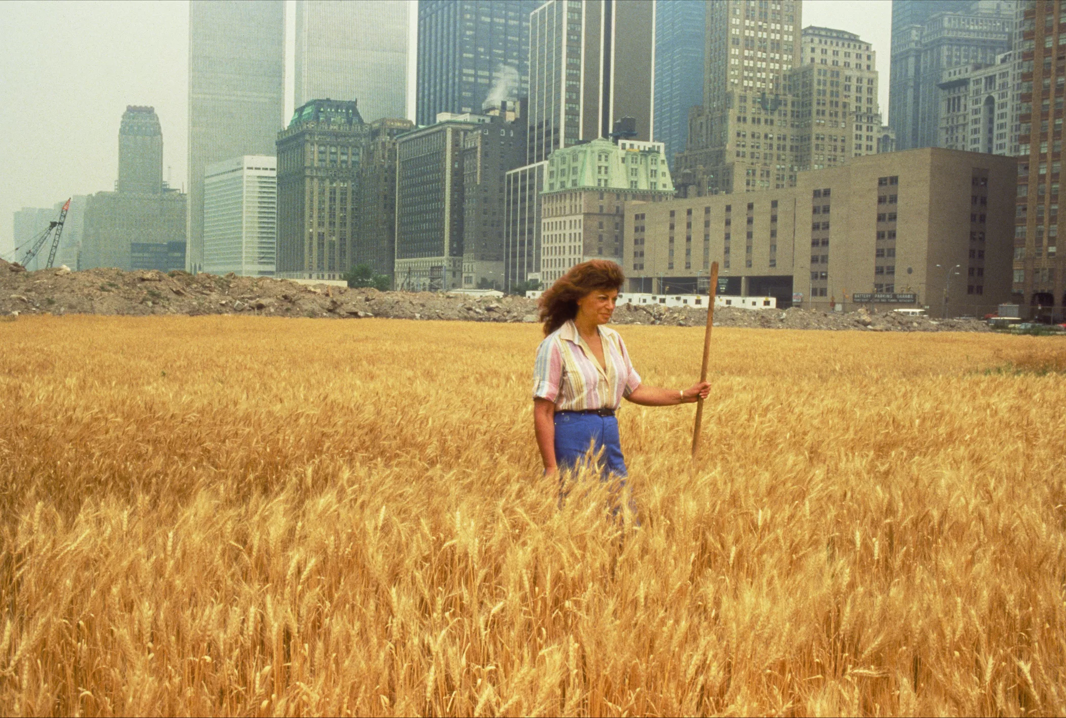 Wheatfield - A Confrontation: Battery Park Landfill, Downtown Manhattan - With Agnes Denes Standing in the Field, 1982 Photo: John McGrail. Courtesy Agnes Denes and Leslie Tonkonow Artworks + Projects