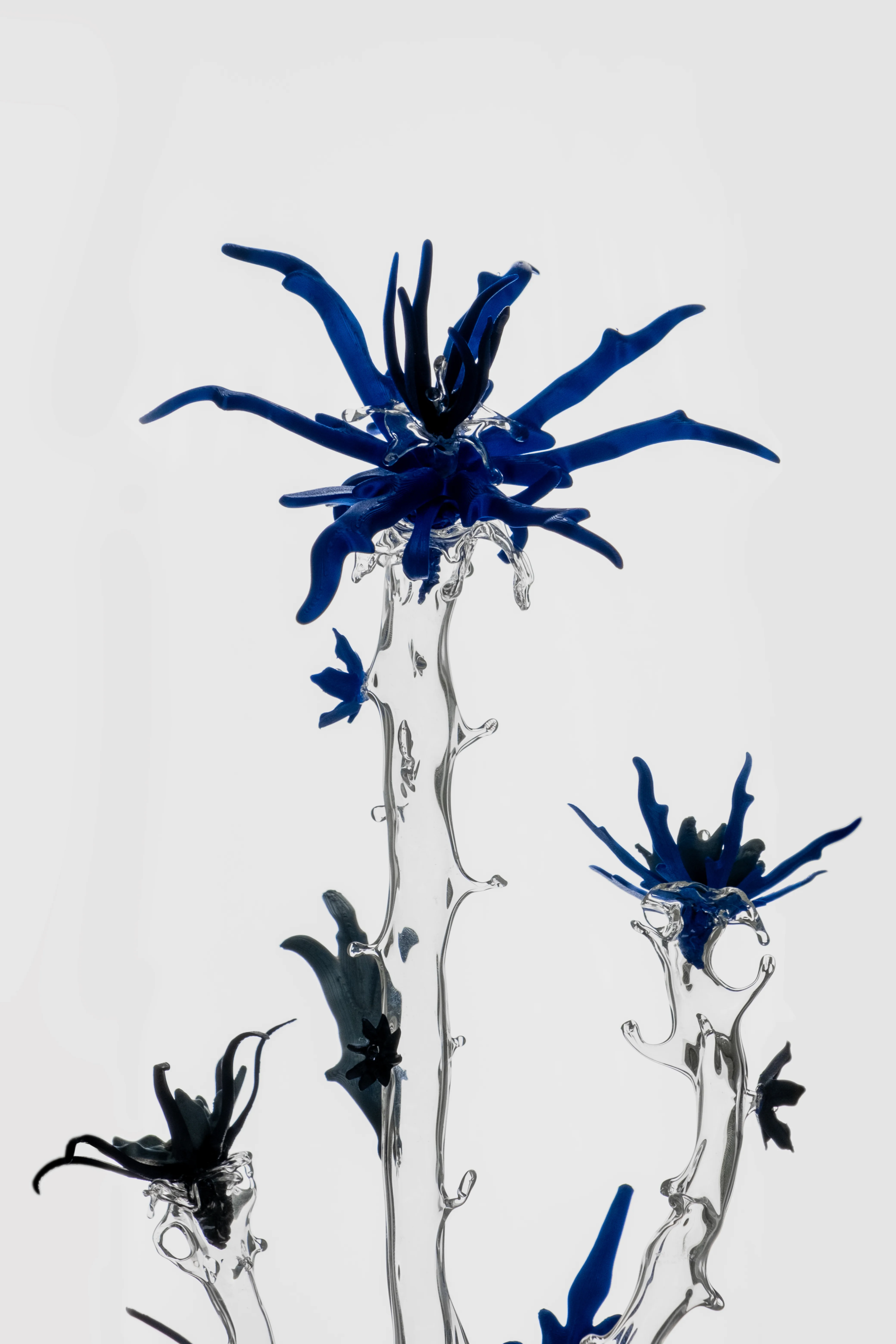 Affin Sp.01, 2023, Glass, PLA, by Delphine Lejeune, Kurina Sohn, Clara Schweers, ©Clara Schweers, 7