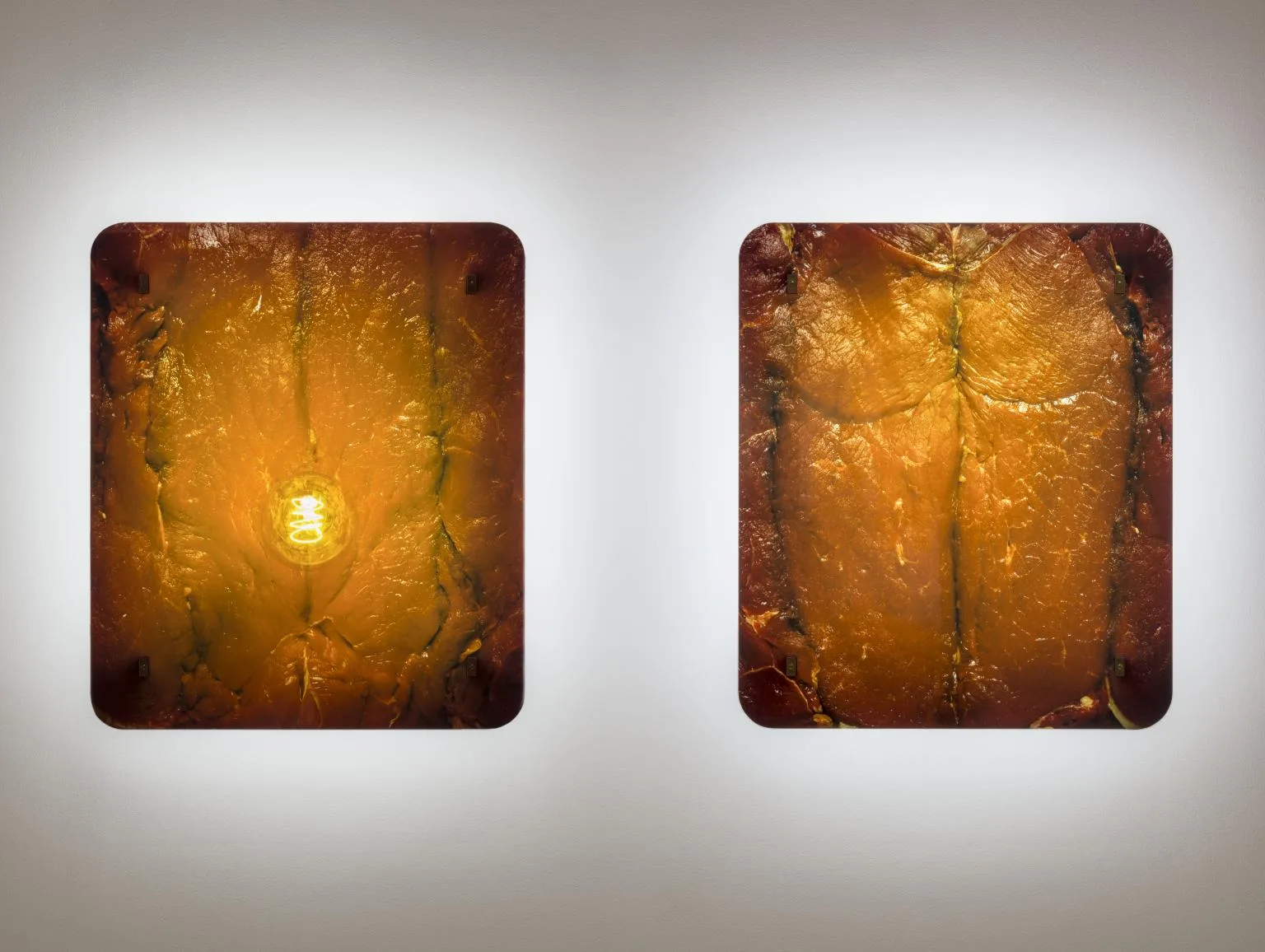 10. Helen Chadwick Enfleshings I, 1989. Courtesy of Tate © The Estate of Eva Hesse. Photo by Tate