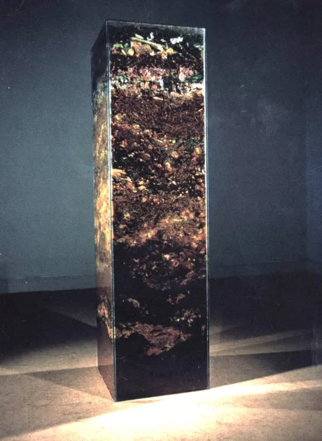 8. Helen Chadwick Carcass, 1986. Courtesy of Arusha Gallery, London
